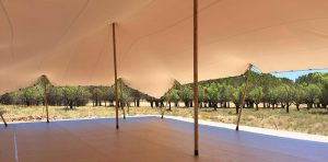 alquiler tarimas eventos