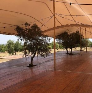 tarimas arboles integrados Top Tent carpa beduina