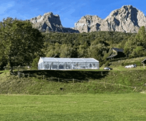 carpas alquiler boda invierno