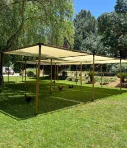 pergola madera alquiler